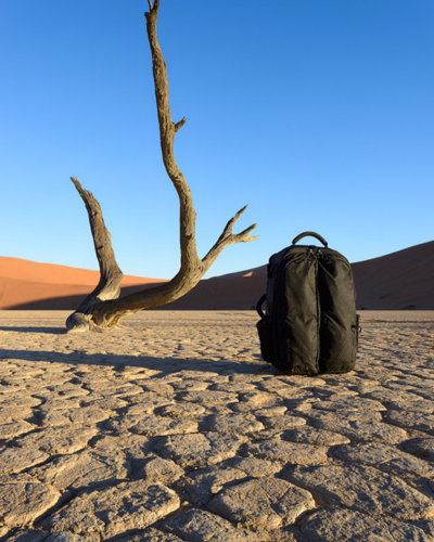 Trending Advertisement